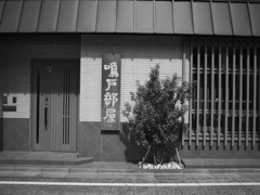 P1200565