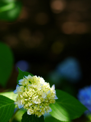 P1010605