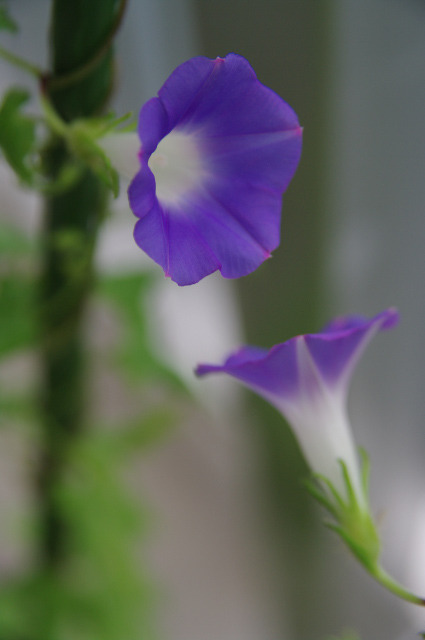 IMGP1658