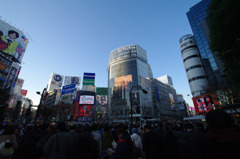 渋谷
