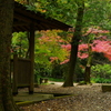 IMGP8609