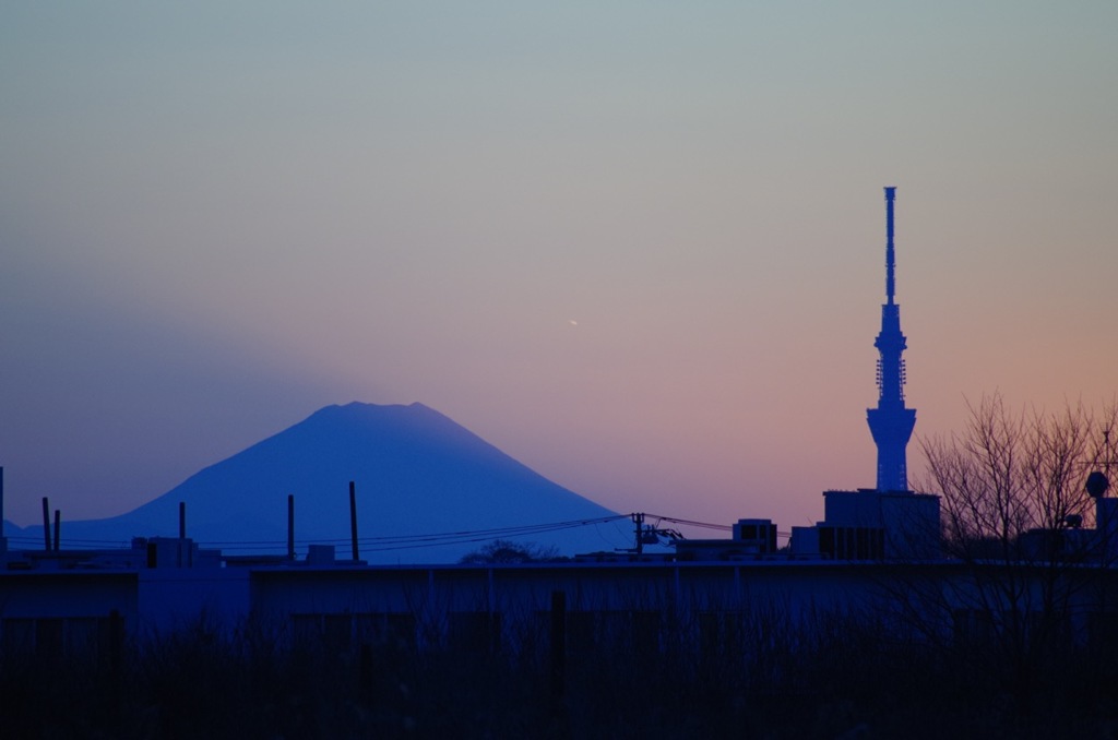 IMGP3377