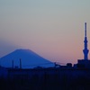 IMGP3377
