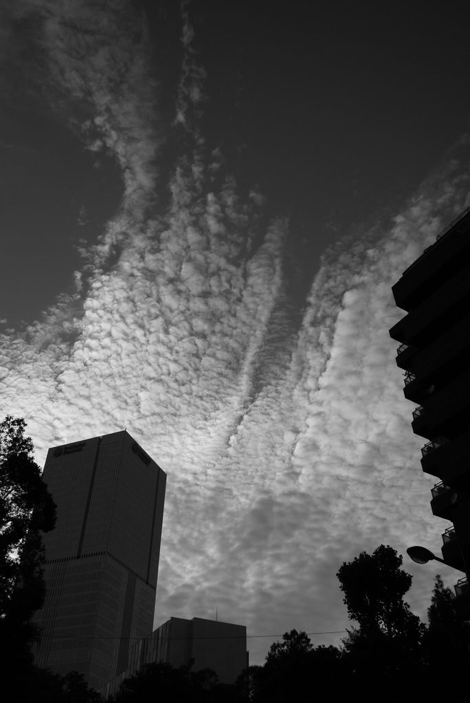 P1080414