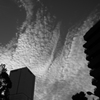 P1080414