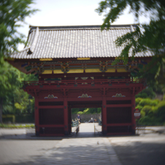 P1040399
