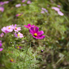 P1050043