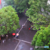 雨