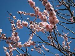 IMG_0902