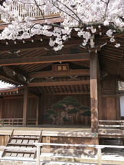 P1050191