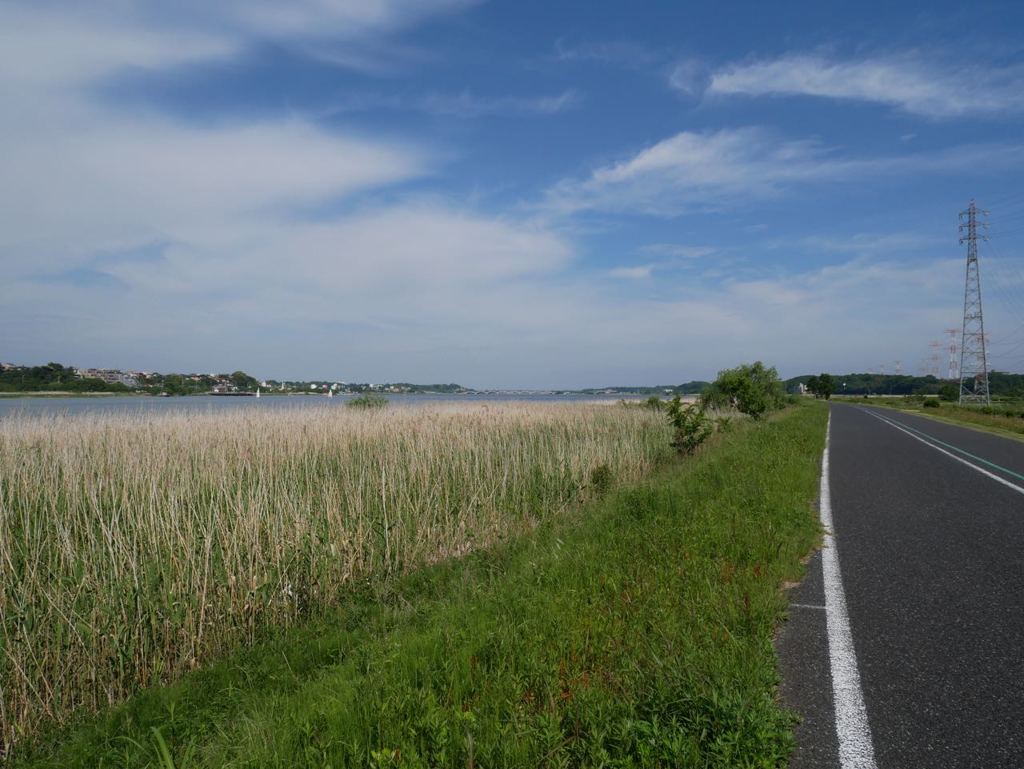 P1030786
