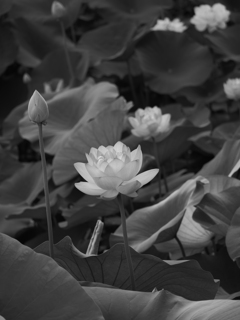 P1200158