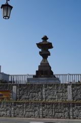 IMGP6855