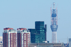 IMGP9242