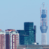 IMGP9242