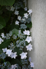 P1020912
