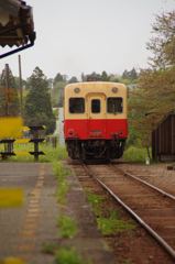 IMGP0931