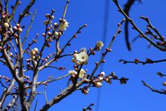IMG_0738