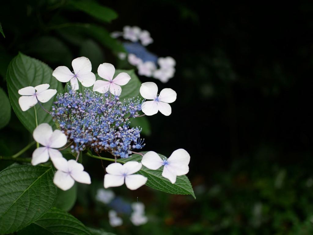P1070353