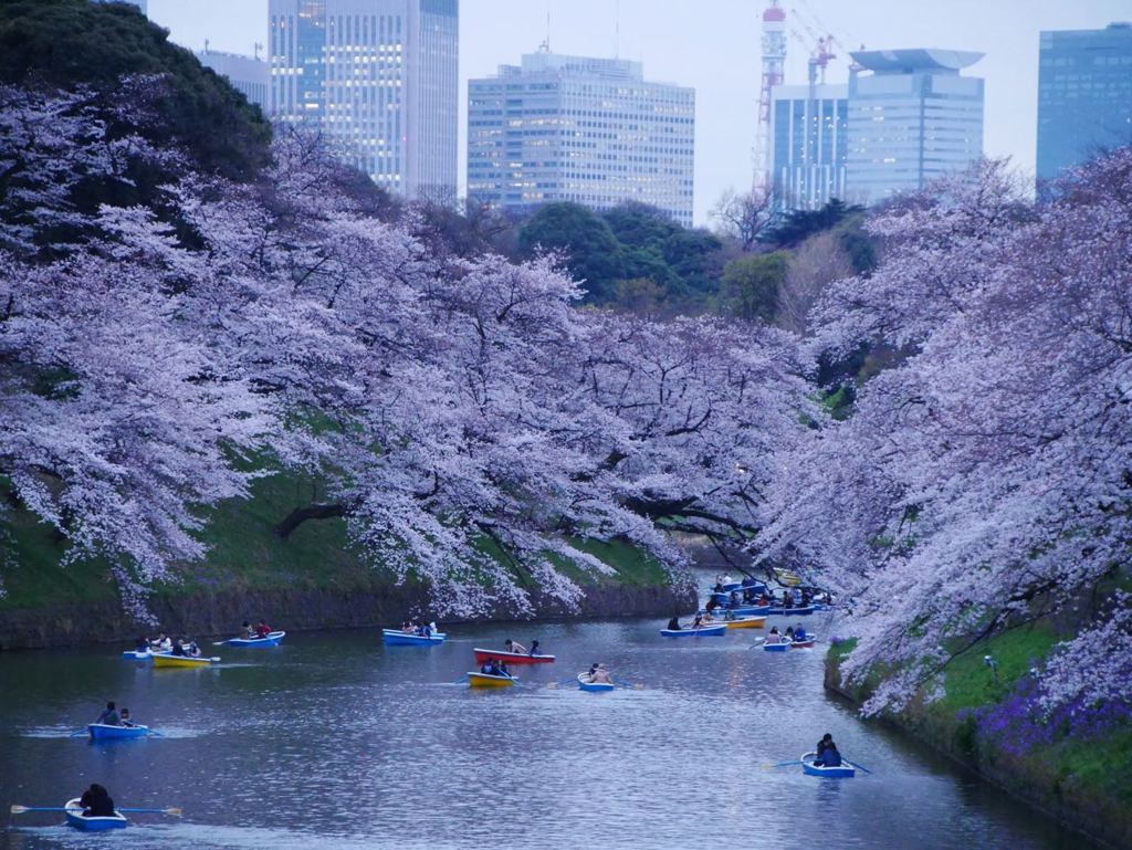 夕景