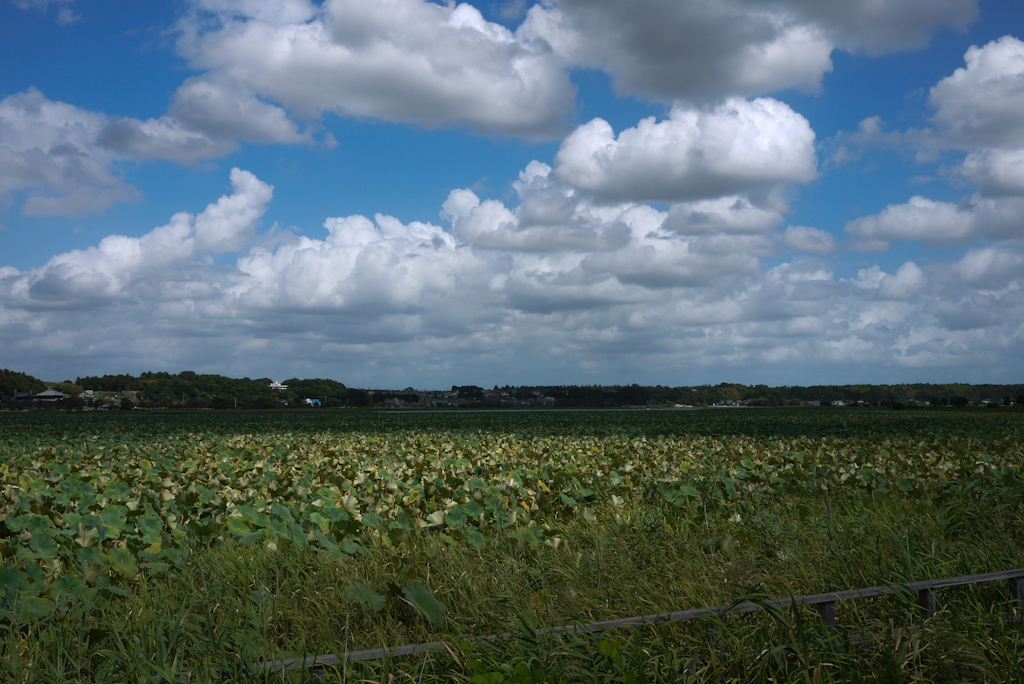 P1060652