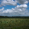 P1060652