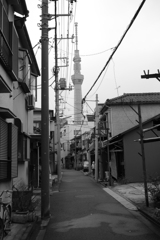 P1020015