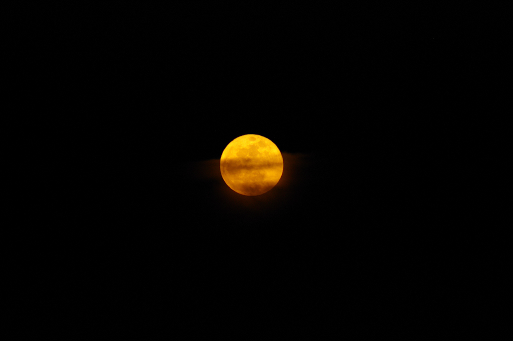 IMGP3838