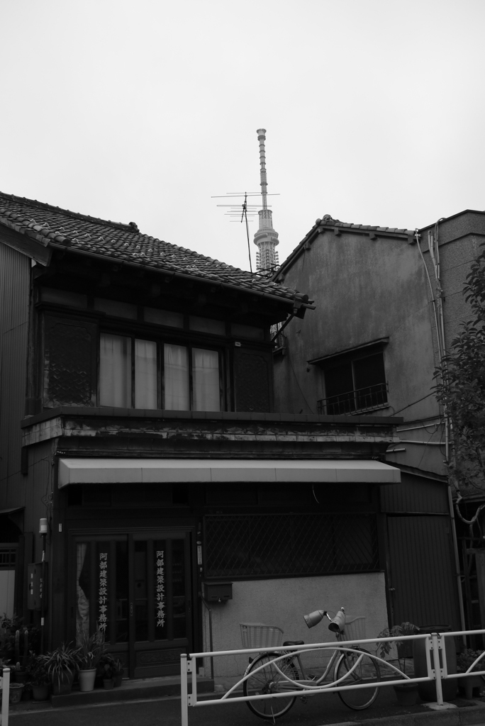 P1020012