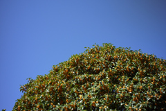 P1070144