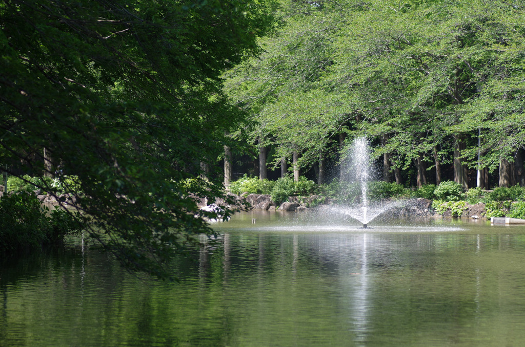 IMGP0156