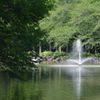 IMGP0156