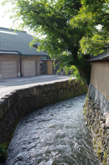 IMGP4880