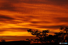 IMGP0980