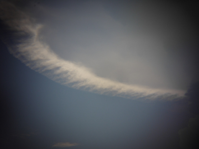P1030357