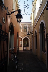 IMGP2398