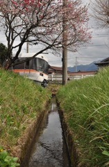 信濃