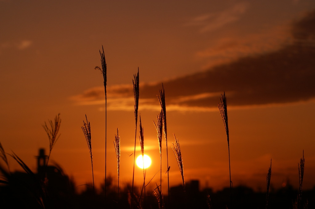 sun set