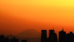 都庁と富士