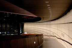 国際フォーラム