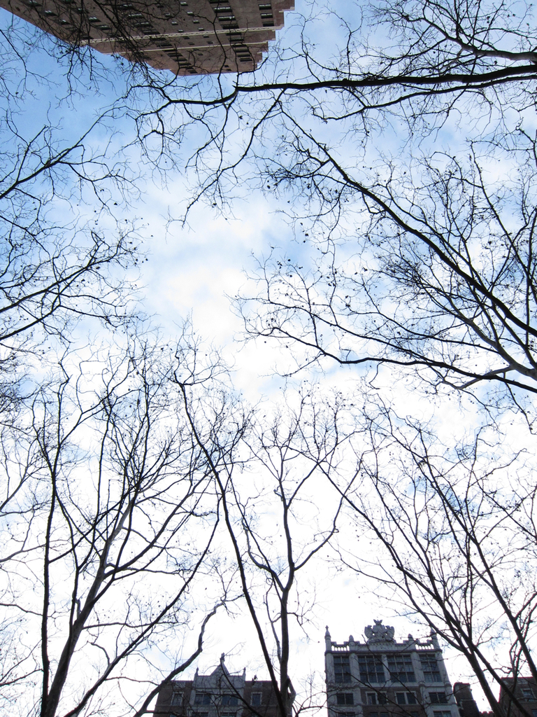 撮ってるとき、首が痛くなった。