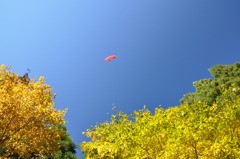 秋の空