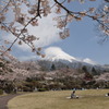 富士と桜