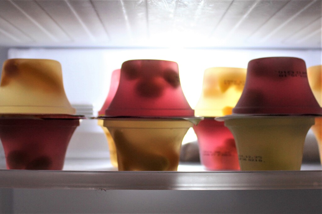 ポップな冷蔵庫のゼリー