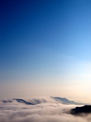 雲海