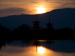 大池から。。。