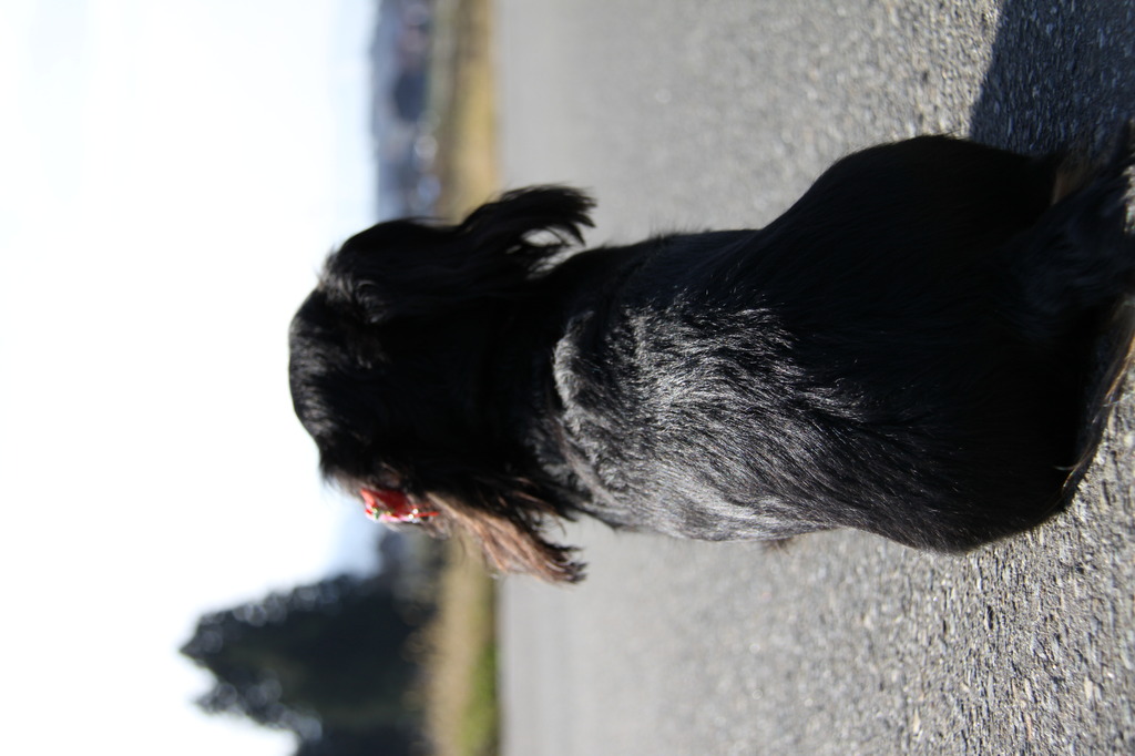 どこまで行こうっかな？