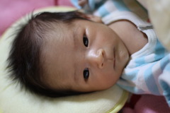 我が家の赤ちゃん