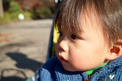 見つめる先には・・・