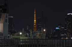 晴海ふ頭からの東京タワー